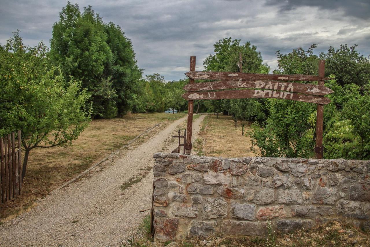 Hotel La Balta Vadu Crisului Exteriér fotografie