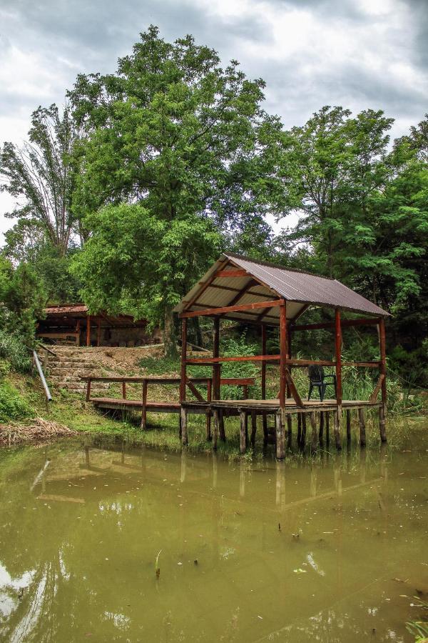 Hotel La Balta Vadu Crisului Exteriér fotografie